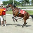 File photo courtesy of Clinton Raceway.