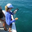 Ken Larone of the Trail Association  Alanna Scott of Environmental Defence conduct turbidity testing of the Bayfield River.